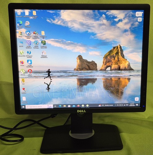 Dell p1913sf tft - p1913sf,