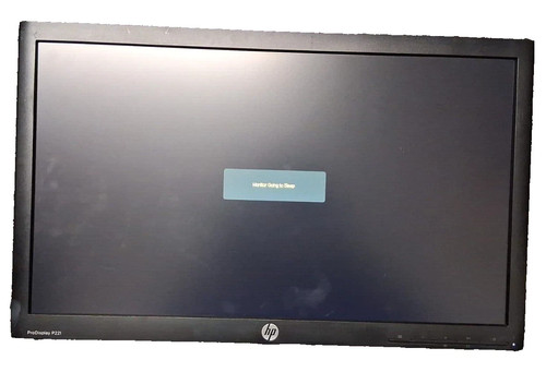 Prodisplay p221 led - 21.5",